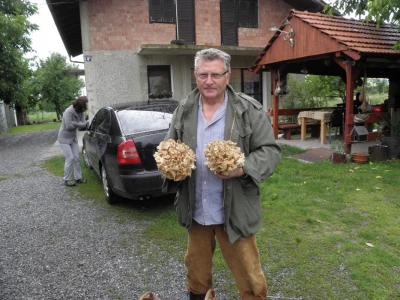 Gljivarska sezona