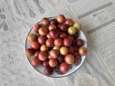 Čorba od džanarike Čorba od džanarike