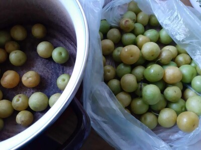 Čorba od džanarike