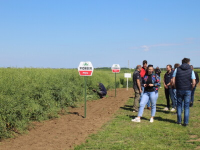 Corteva dan polja na FAZOS pokušalištu