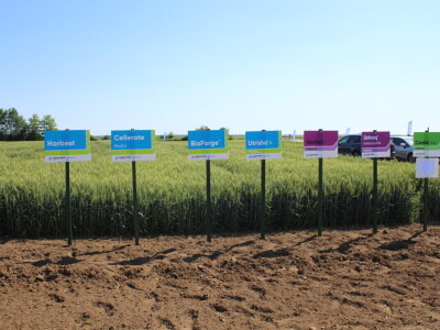 Corteva dan polja na FAZOS pokušalištu