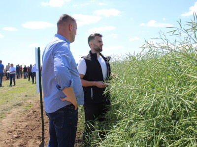 Corteva dan polja na FAZOS pokušalištu