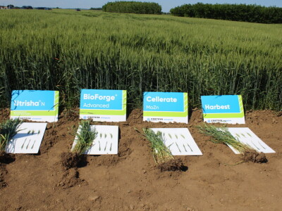 Corteva dan polja na FAZOS pokušalištu