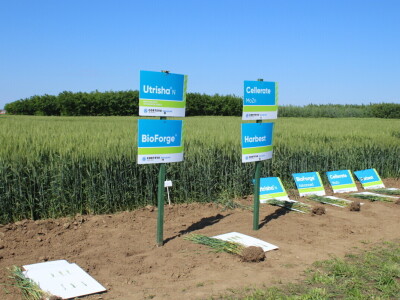 Corteva dan polja na FAZOS pokušalištu