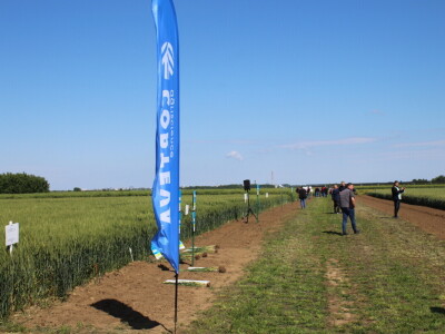 Corteva dan polja na FAZOS pokušalištu