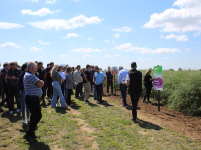 Corteva dan polja na FAZOS pokušalištu