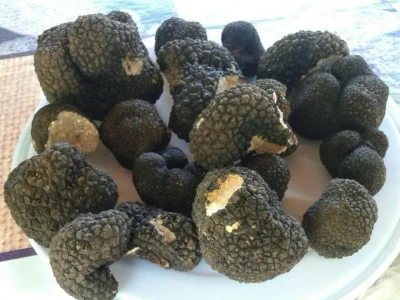 Crni tartufi