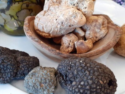 Crni tartufi - Turopolje Crni tartufi - Turopolje