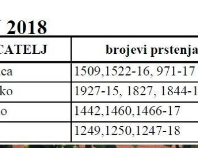 Croatia tiplerska udruga Croatia tiplerska udruga