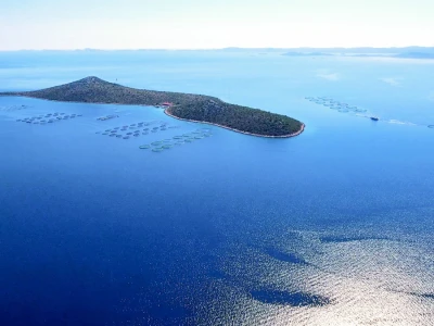Cromaris
