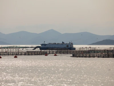 Cromaris