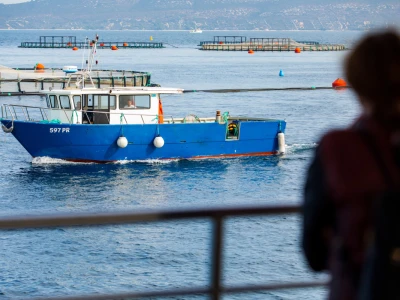 Cromaris