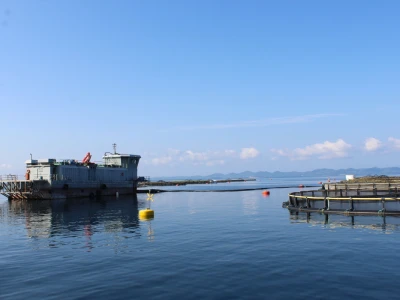 Cromaris