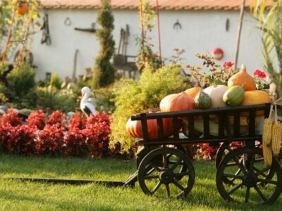 Gosti kažu kako im je ovdje ugodno, nekako toplo, da se osjećaju kao kod kuće Gosti kažu kako im je ovdje ugodno, nekako toplo, da se osjećaju kao kod kuće