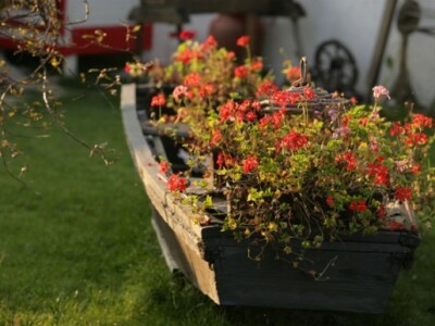 Agroturizam Crvendać Agroturizam Crvendać