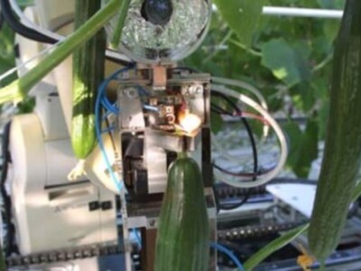 Cucumber Harvester Cucumber Harvester