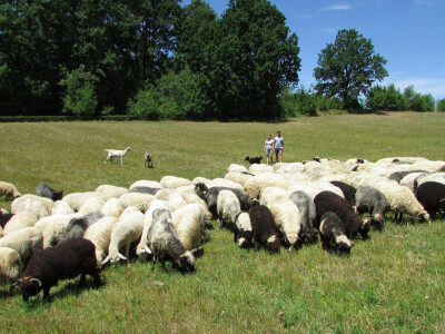 Dejan -i -Rada-Modic