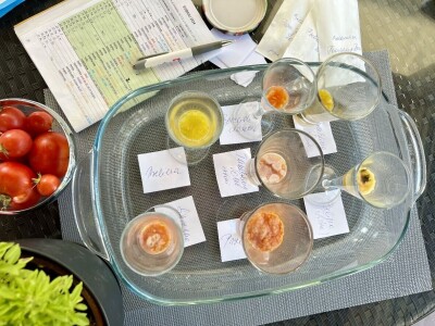 Čuvanje sjemena rajčica