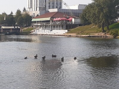 Čuvari Sane čuvaju Sanu Čuvari Sane čuvaju Sanu