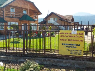 Cvećarstvo, lep ali težak posao