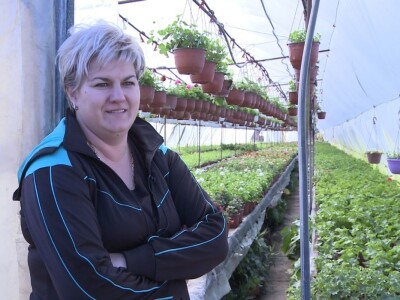 Cvećarstvo, lep ali težak posao