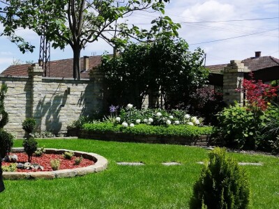 Cveće (dvorište  Ane i Daniela Pinćira)