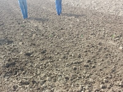 Prvi prohod na lošijem tlu