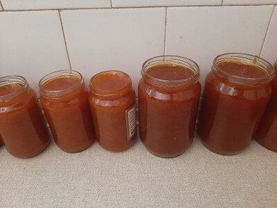 Cvet kajsije mrzne na -1 stepen