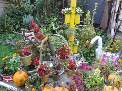 Cvetna oaza porodice Lončarević