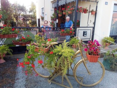 Cvetna oaza porodice Lončarević