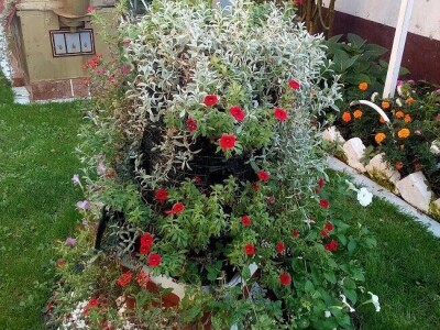 Cvetna oaza porodice Lončarević