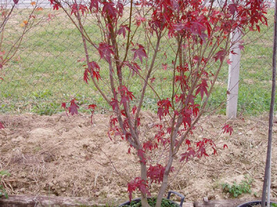 Samouvjereno u visinu