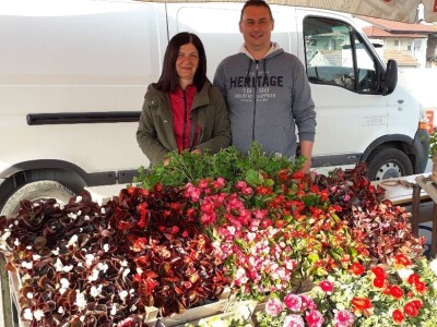 Cvijeće za svačiji ukus i džep