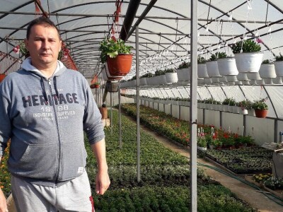 Cvijeće za svačiji ukus i džep