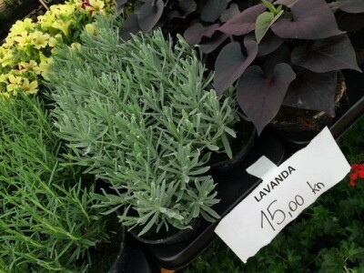 13. Sajam Proizvodi hrvatskog sela