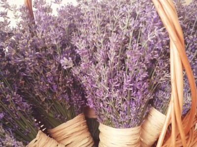 Cvijetni okusi iz Sherbetlook-a