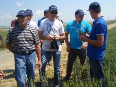 Syngenta zaradionica