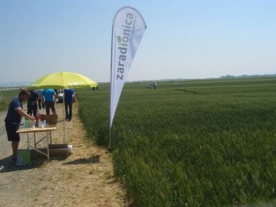 Syngenta zaradionica