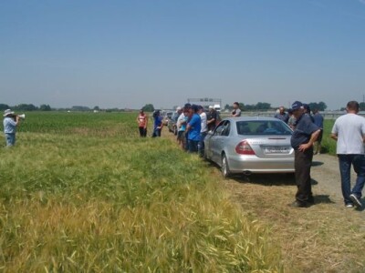 Syngenta zaradionica