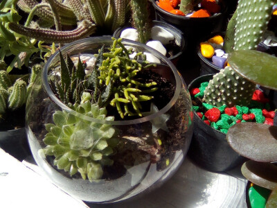 Cvjećarstvo Branka Končar Cvjećarstvo Branka Končar