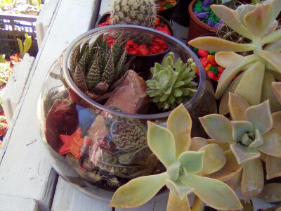 Cvjećarstvo Branka Končar Cvjećarstvo Branka Končar