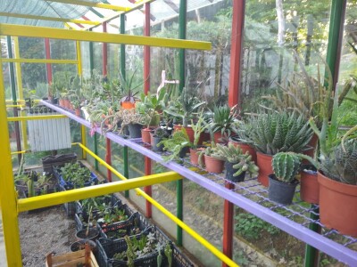 Cvjećarstvo Branka Končar Cvjećarstvo Branka Končar