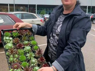 Cvjećarstvo Dragana Jovanić