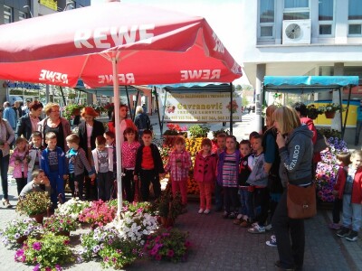 Cvjećarstvo Gavranović