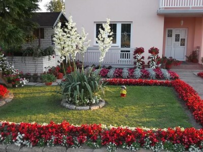 Cvjećarstvo Gavranović