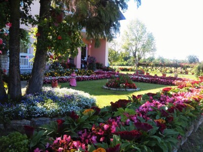 Cvjećarstvo Gavranović