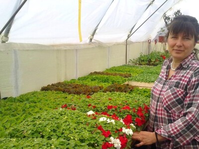 Cvjećarstvo Gavranović