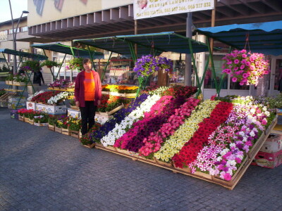 Cvjećarstvo Gavranović