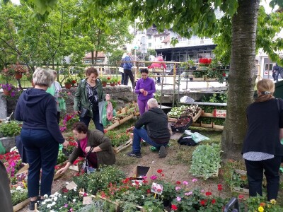 Cvjećarstvo na granici isplativosti i odustajanja