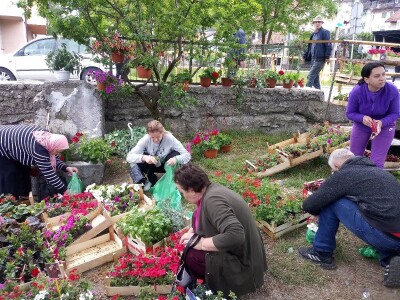 Cvjećarstvo na granici isplativosti i odustajanja